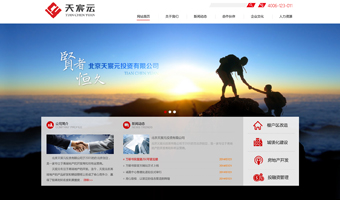 天宸元集團官網建設